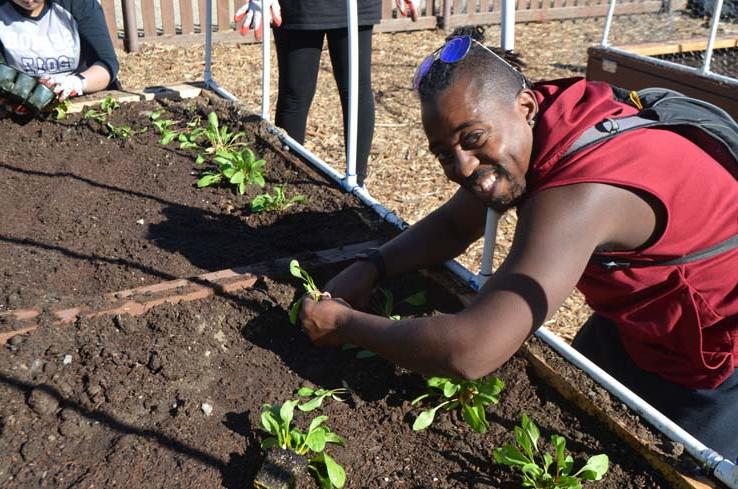 Community Garden Photos Thumbnail